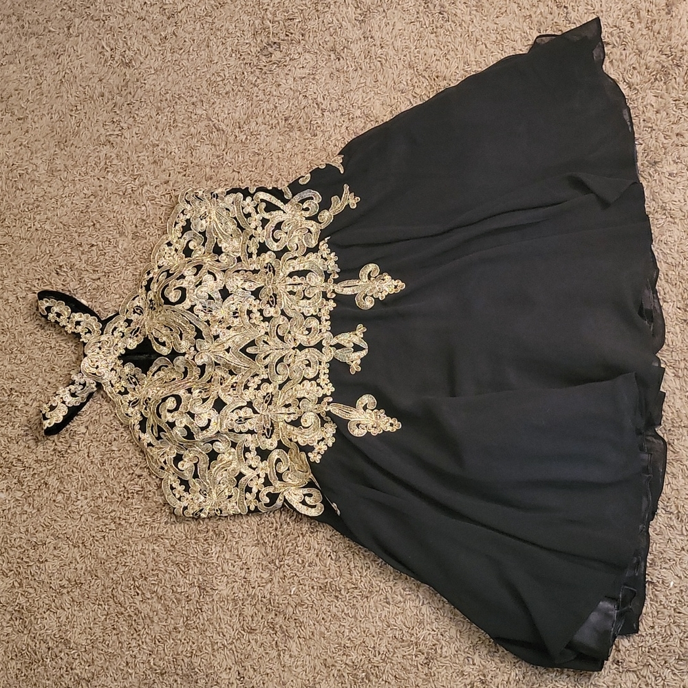 LA SCALA high neck skater dress- worn 1 time